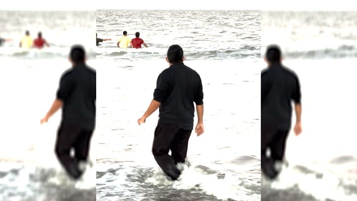 El operativo para rescatar al zifio varado en San Clemente del Tuyú