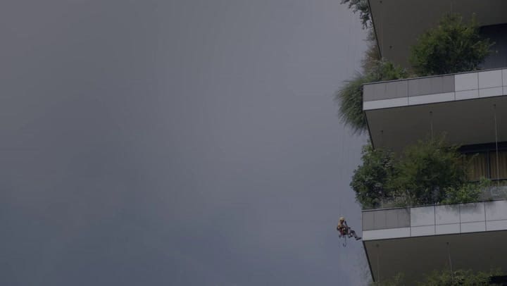 Jardineros voladores