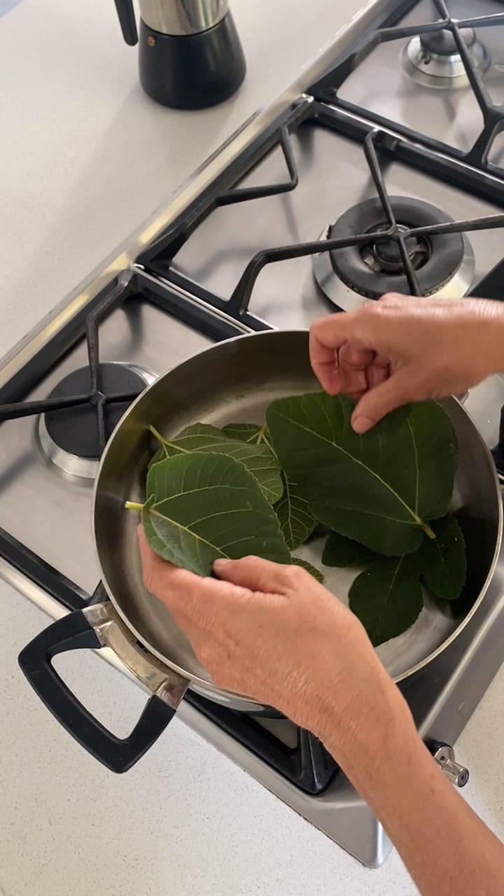 Polvo de hoja de higos.mov