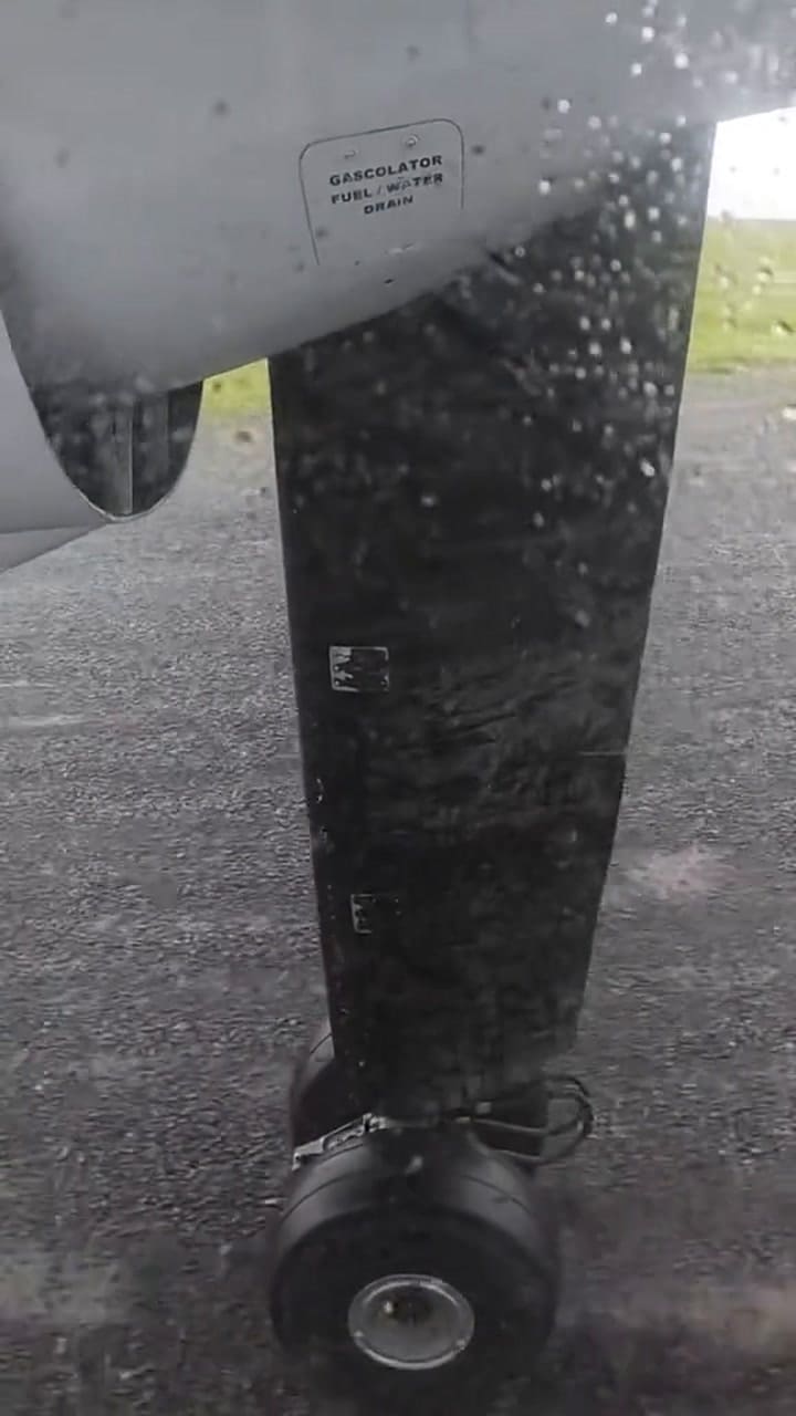 Ssstik.io @Naoelphilips 1729943795503