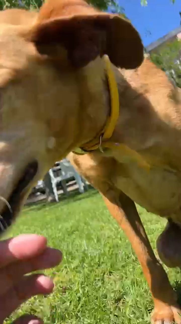 Alma fue abandonada en un contenedor de basura