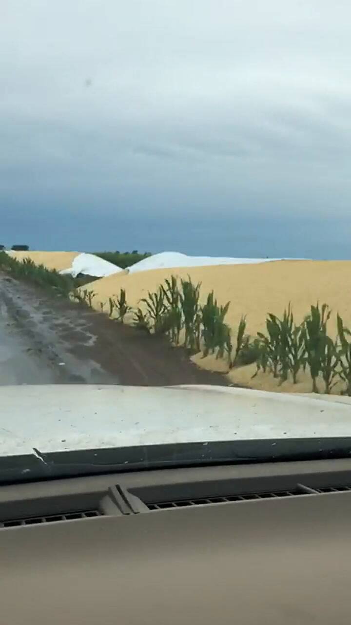 El productor de la localidad de Jovita al que le rompieron cuatro silobolsas