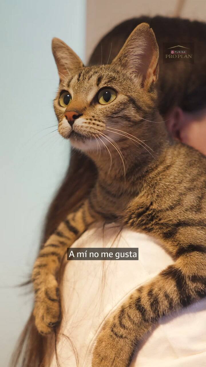 Manuela y su historia de resiliencia