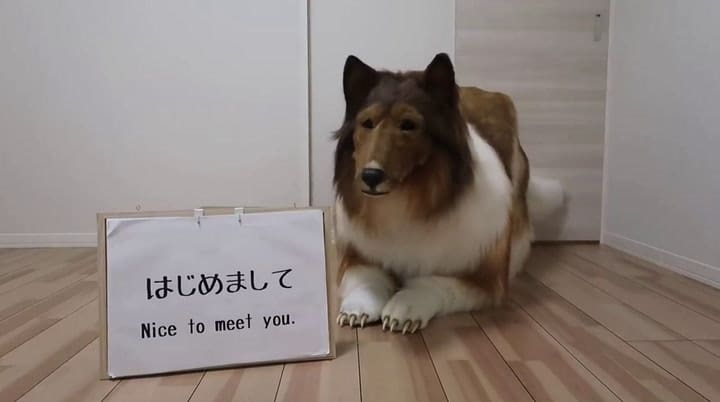 Soñaba con ser un perro y lo logró de una forma muy particular