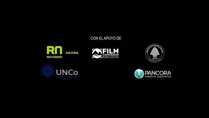 Búsqueda del vapor Helvecia en Bariloche