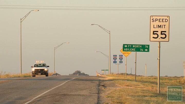 Planning Palo Pinto Mountains State Park, Texas - Texas Parks And Wildlife (1080p, H264, Youtube)