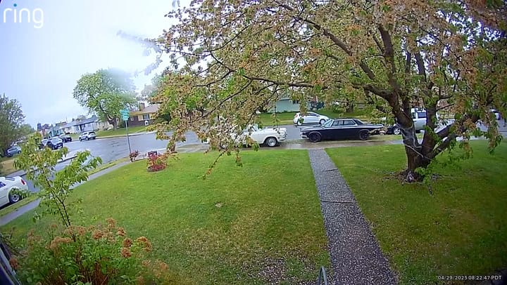 Así persiguieron agentes de ICE y arrestaron a un migrante en Spokane