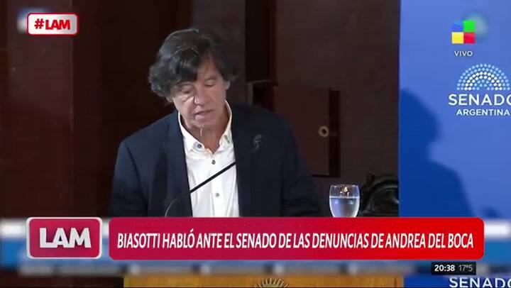Ricardo Biasotti brindó un discurso en el Senado en el que habló de su enfrentamiento con Andrea del Boca