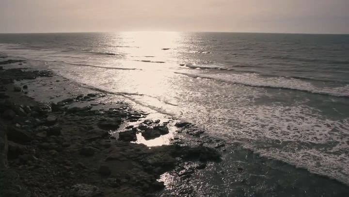 La historia completa de la familia Cianciarulo