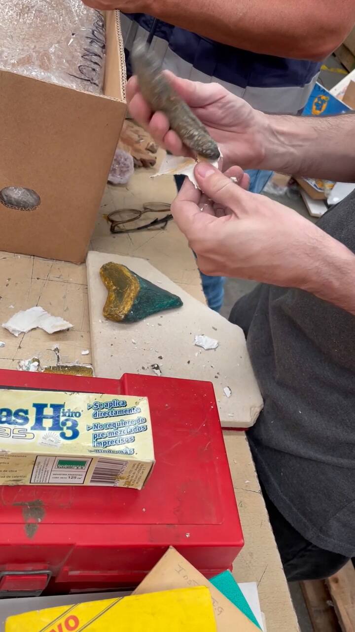 HISTÓRICO: LA ADUANA DETUVO EL CONTRABANDO DE UNA ENORME COLECCIÓN DE 6.400 FÓSILES —HAY PIEZAS DE VALOR INCALCULABLE