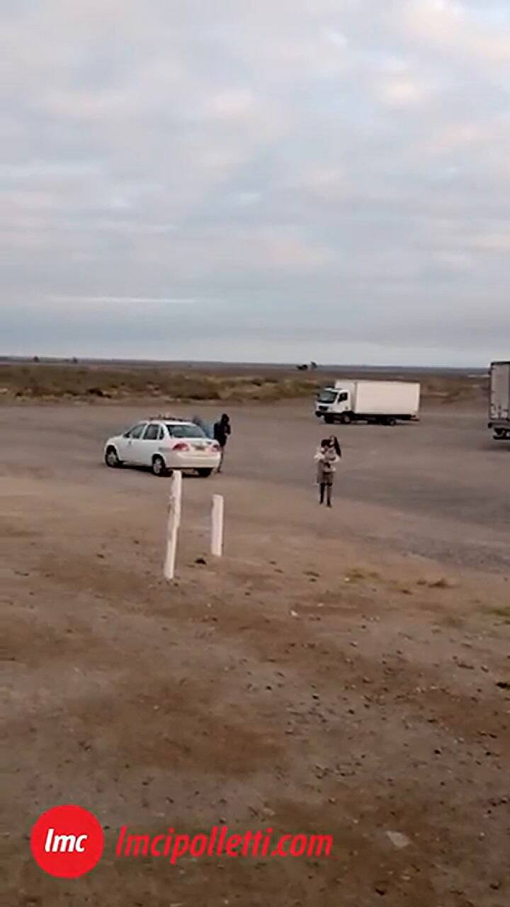 El perro que viajó 450 kilómetros en taxi para encontrarse con su dueña