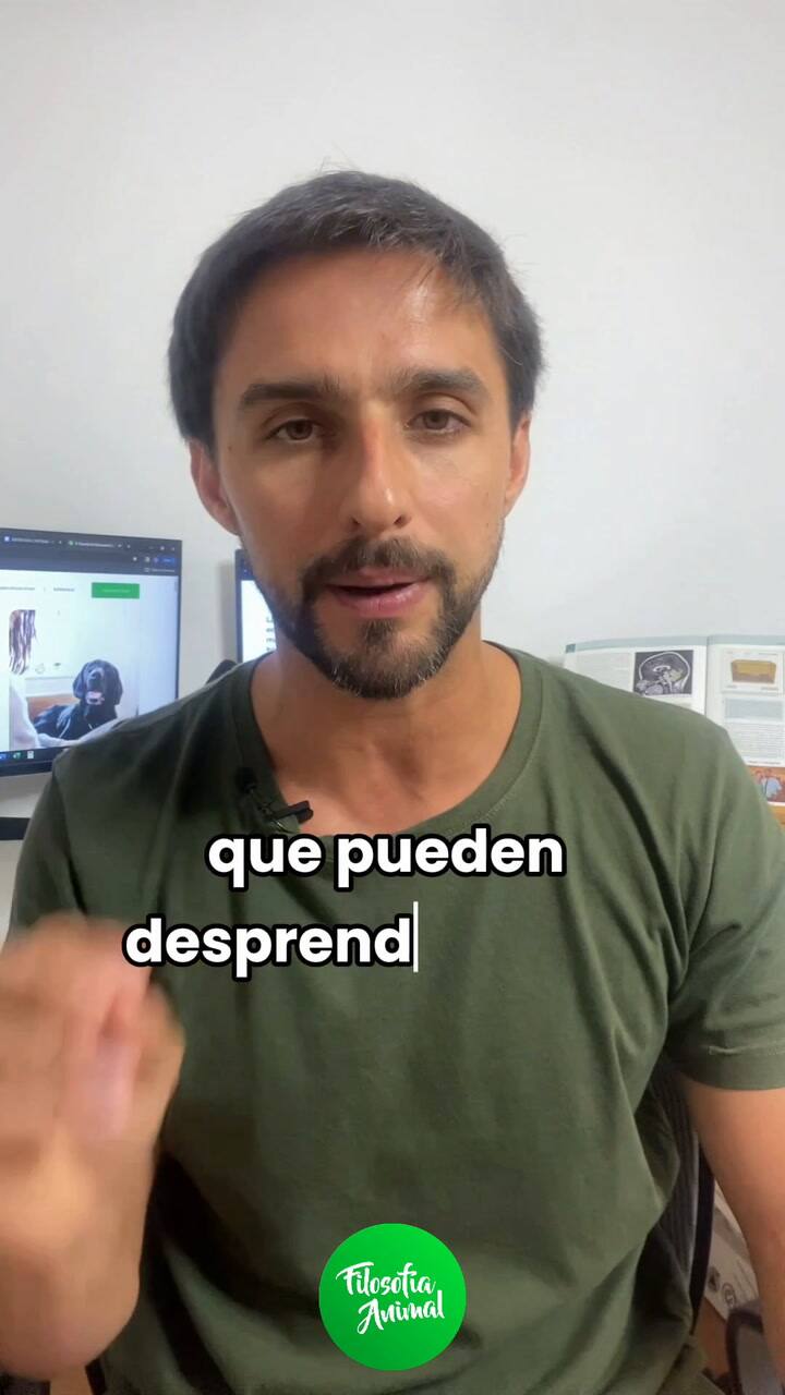 Sabían Que Vivir Con Un Perro Puede Traer Beneficios Físicos Y Emocionales Para Las Personas ☺️