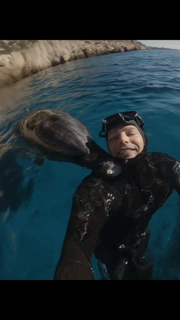 El increíble vínculo entre un buzo con un delfín