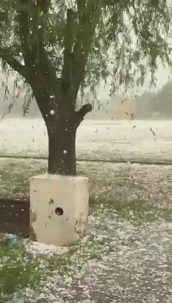 Ssstwitter.com 1763682491216