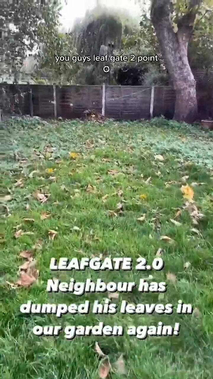 Su vecino le arrojaba hojas en su jardín a escondidas