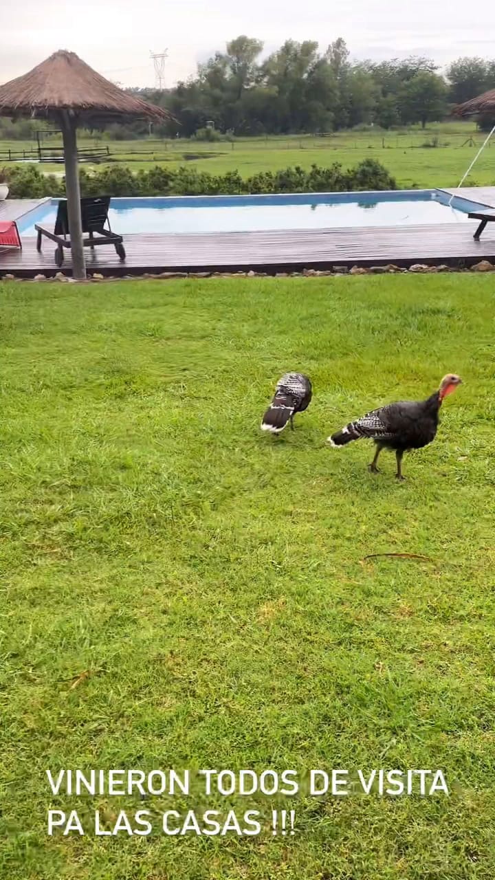 Nicole Neumann en su casa de campo