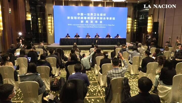 Informe OMS/China sobre origen de covid sugiere transmisión al hombre vía animal intermedio