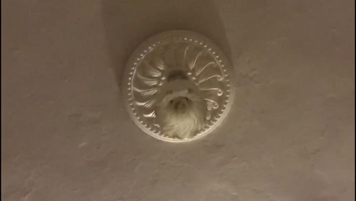 Así se vio el terremoto dentro de un departamento en Turquía