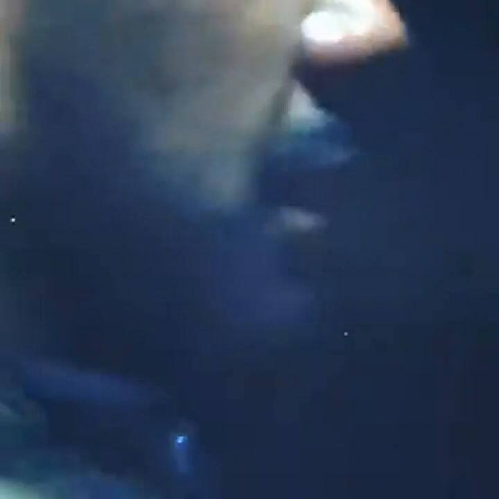 Píxeles defectuosos en escenas de la película 'El ejército de lo muertos'