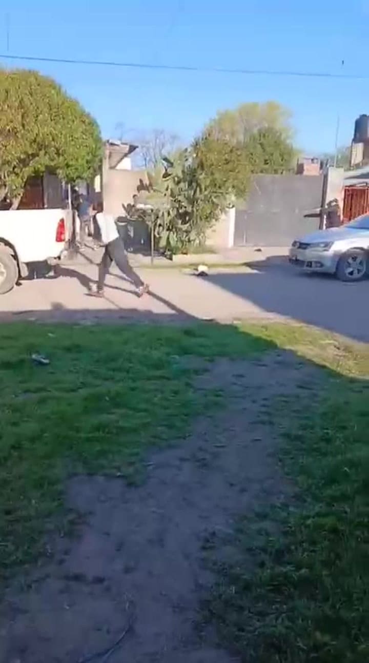 Mar del Plata: las imágenes del enfrentamiento de una delincuente con la policía bonaerense