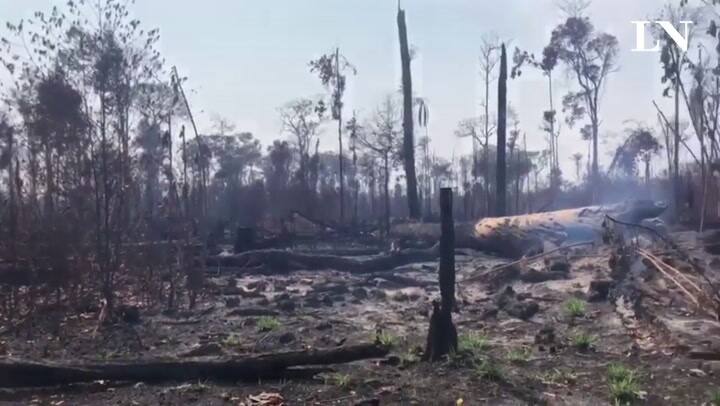 Una de las áreas devastadas por el fuego - Crédito: Alberto Armendáriz