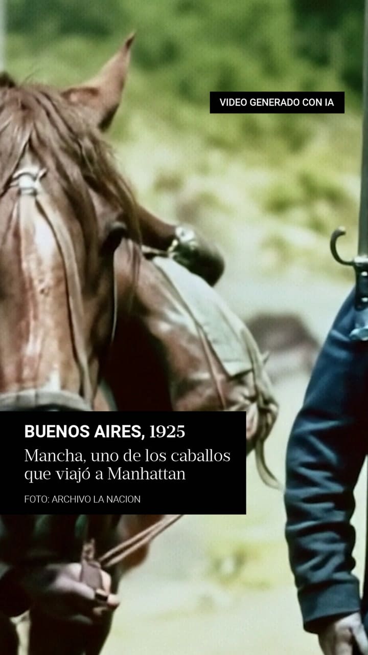 LN FLASHBACK - GATO Y MANCHA 100 AÑOS