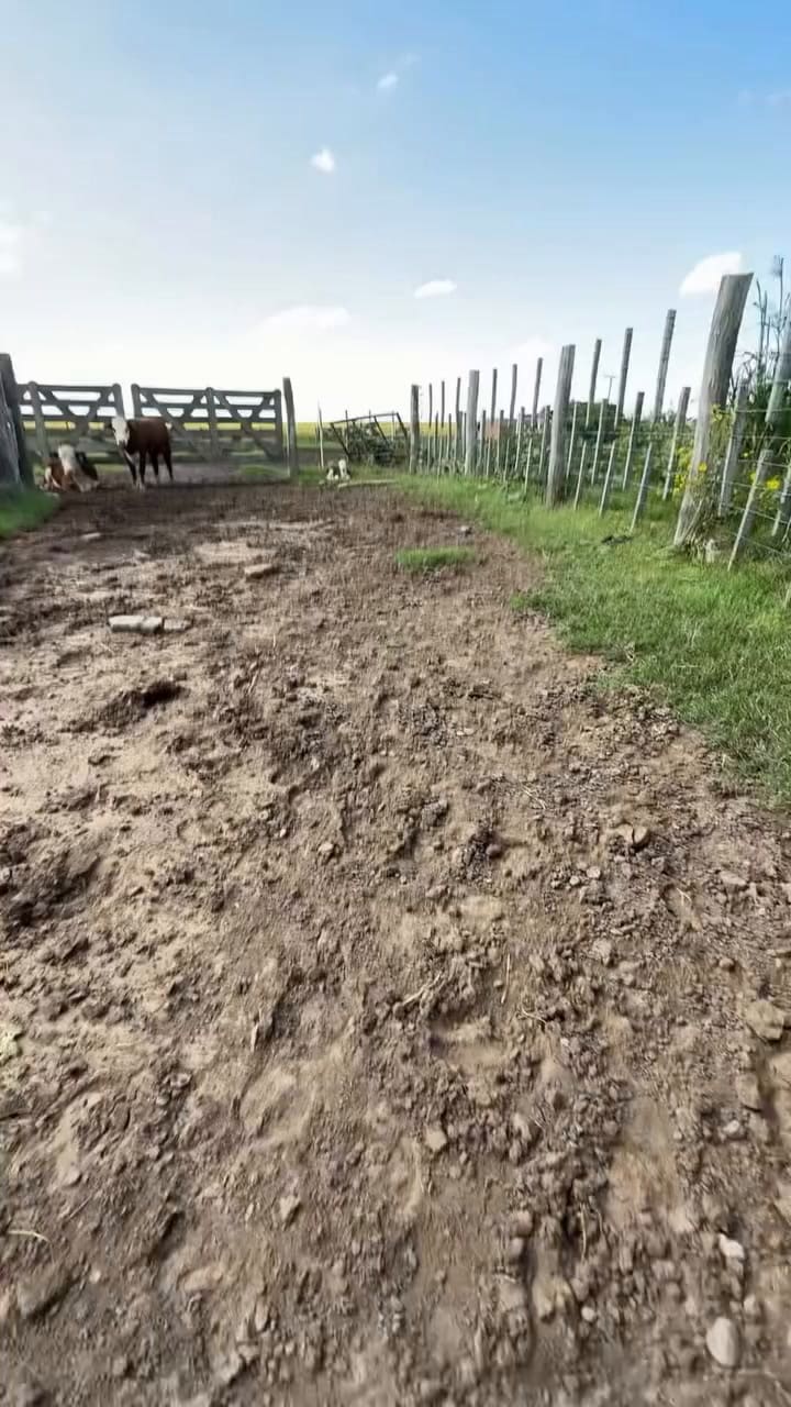 Los avances médicos de Raquel que se volvieron viral en redes