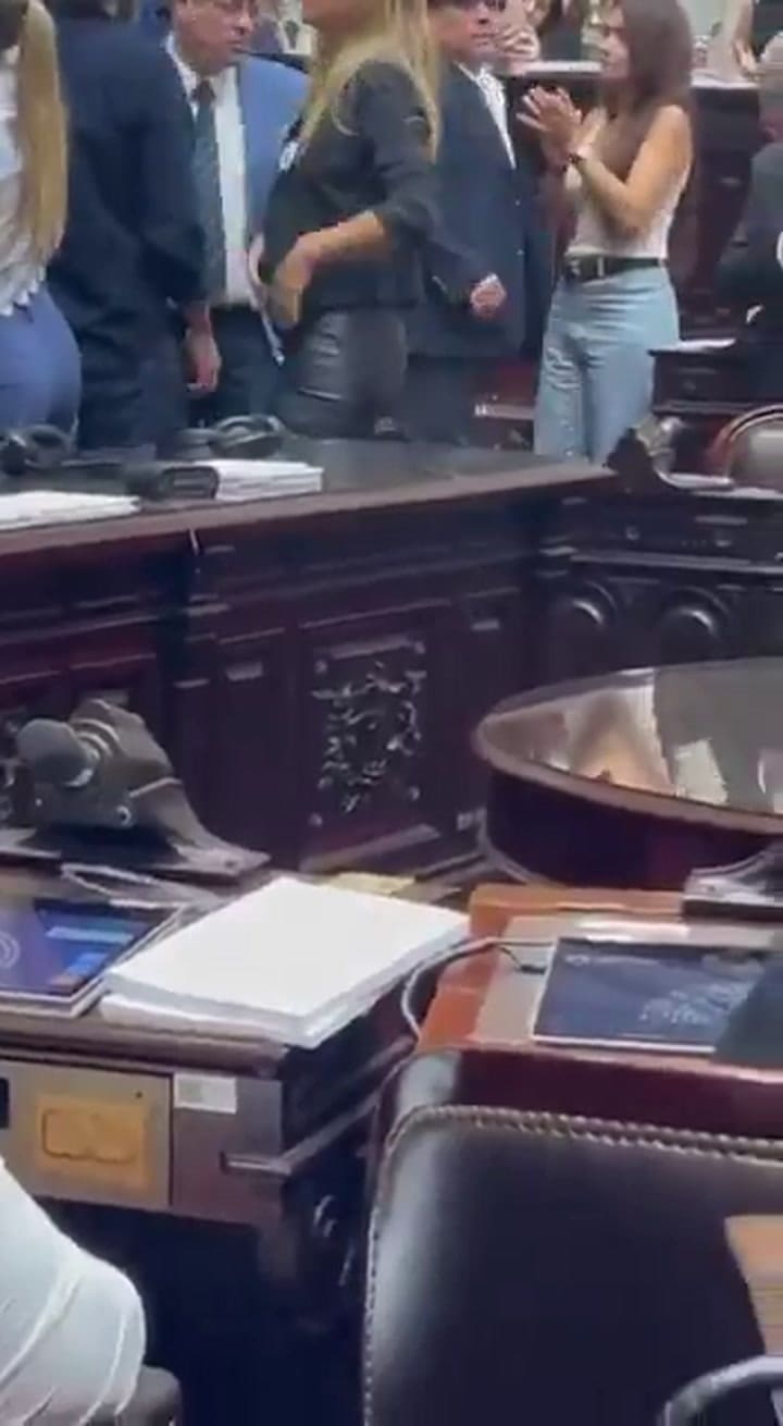 El momento en que la diputada Florencia Carignano desenchufa micrófonos para interrumpir la sesión