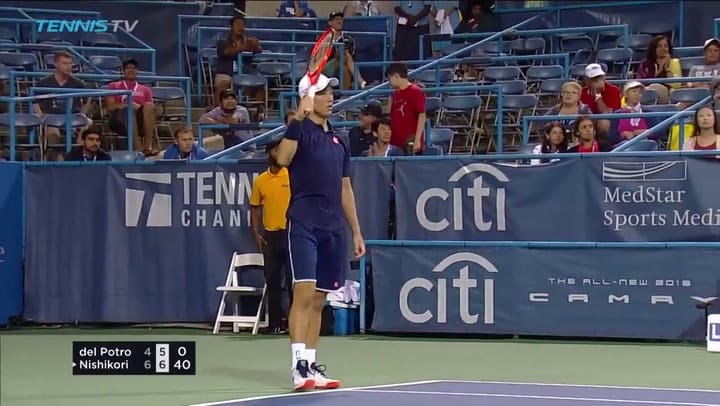 La derrota de Del Potro en Washington