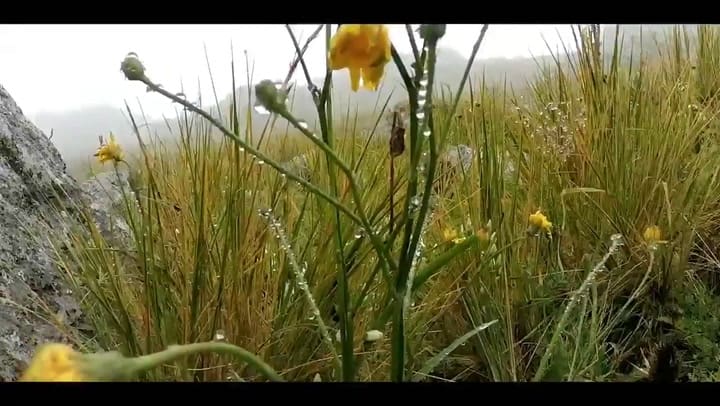 La Champa Ultra Trail por dentro