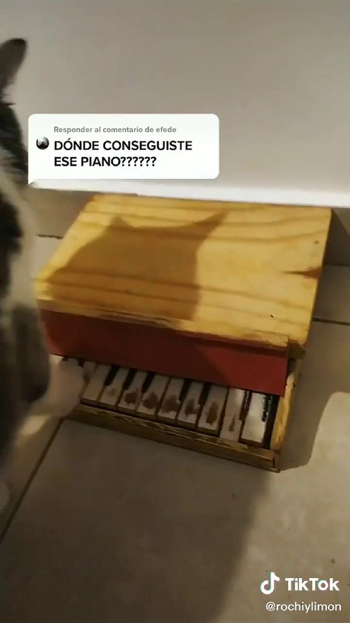 La explicación detrás de la aparición del piano - TikTok: @rochiylimon