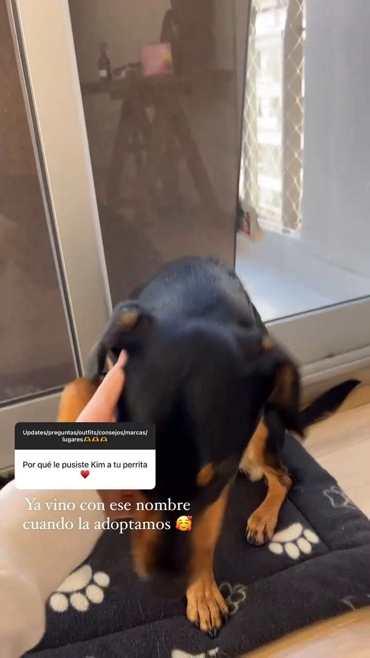 Cami Mayan mostró cómo se adaptó Kim, su perra, tras mudarse a Argentina