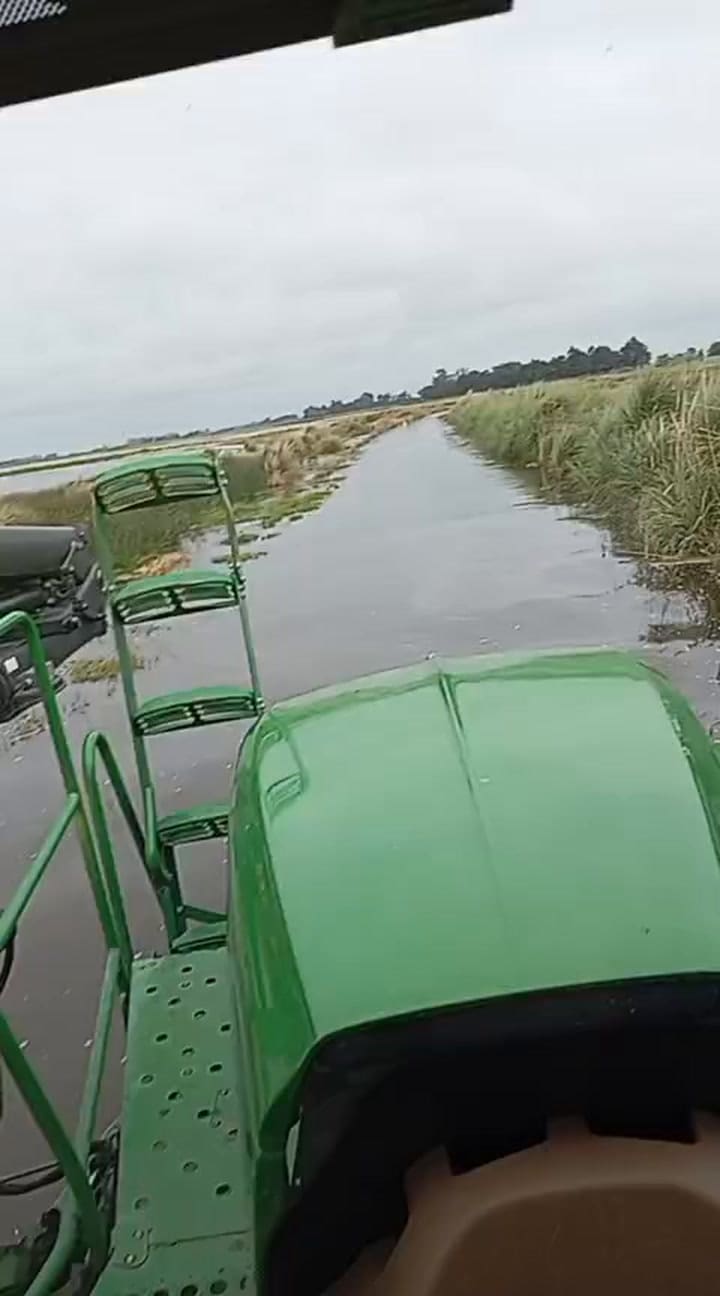 Un productor muestra el nivel de agua que hay camino al puente el Vasquito