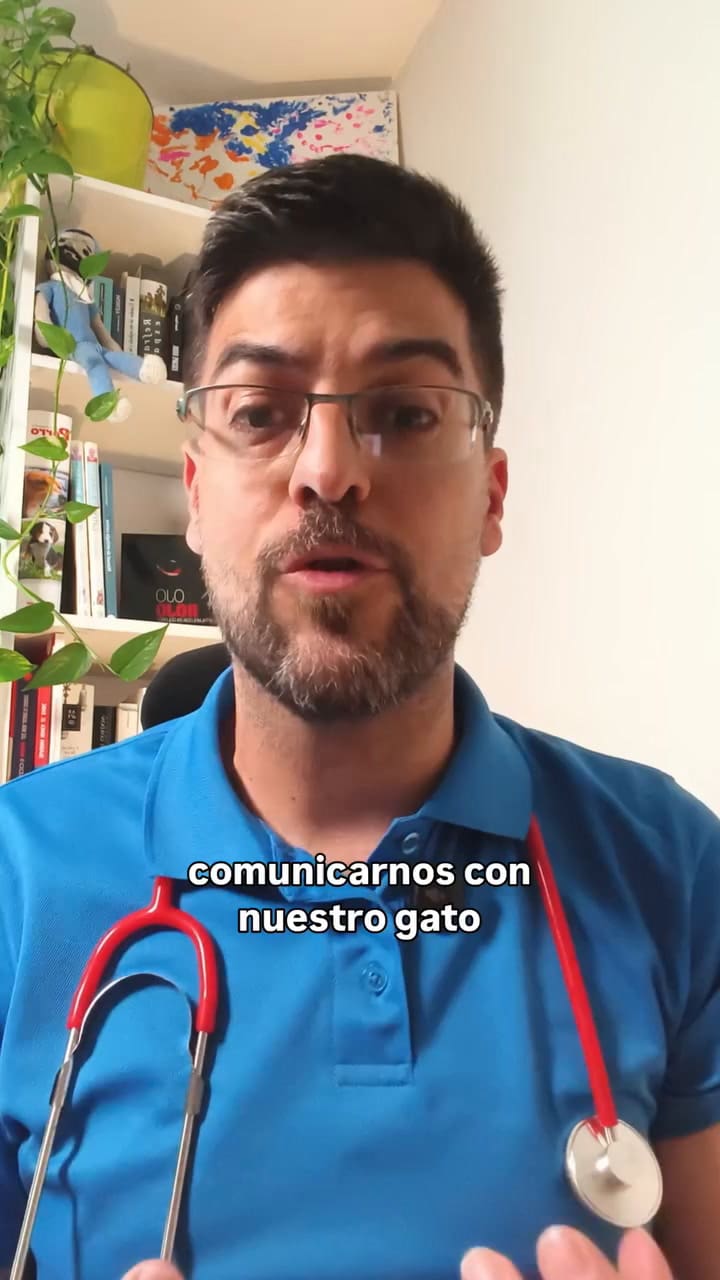 ¿Qué voz se le debe poner a nuestro gato cuando le hablamos?