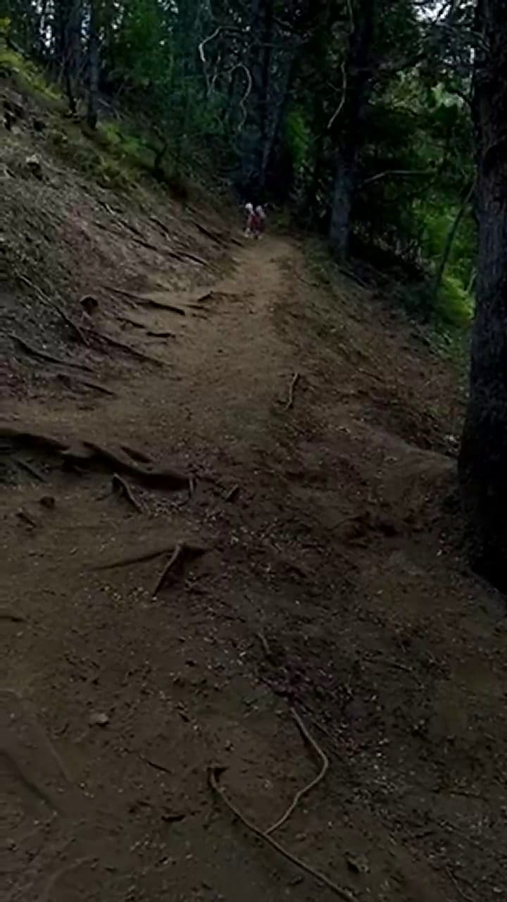 La explicación de la usuaria sobre la presencia paranormal que se observó en su video