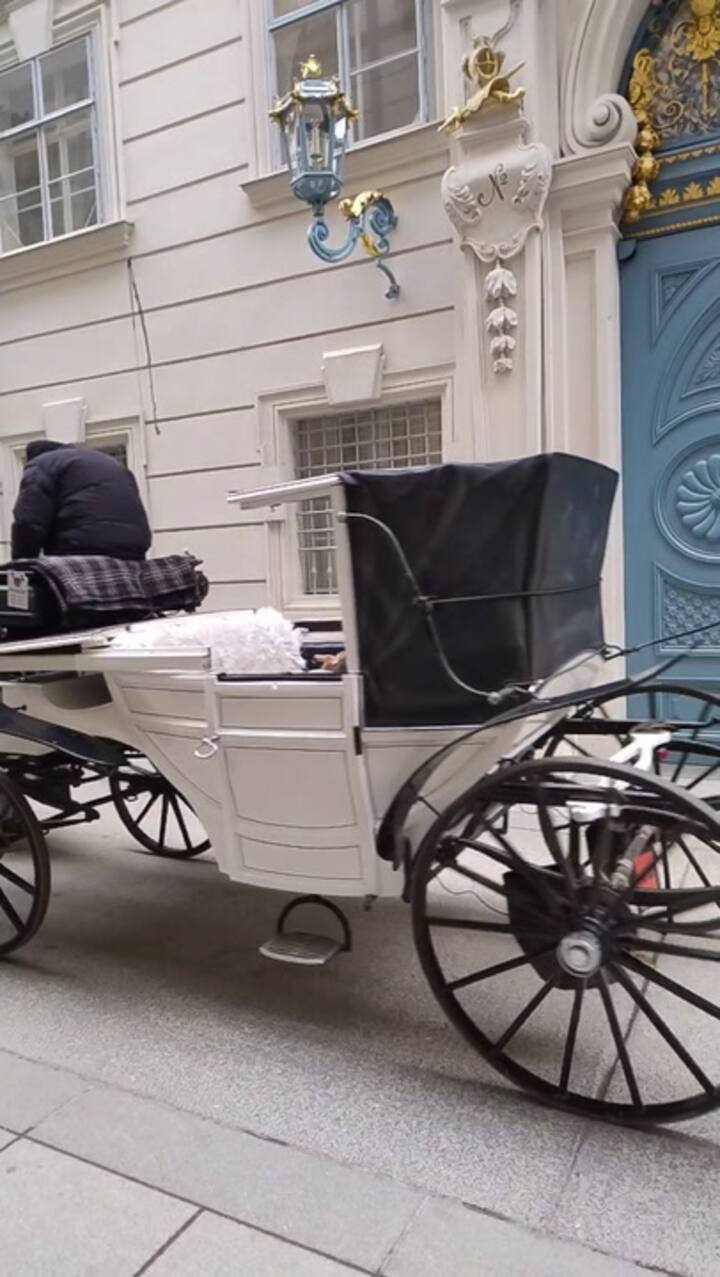 Viena en Navidad.mp4