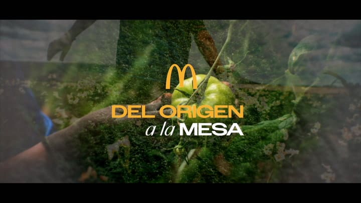 Vegetales Hd - Del Origen A La Mesa - By Ritvu