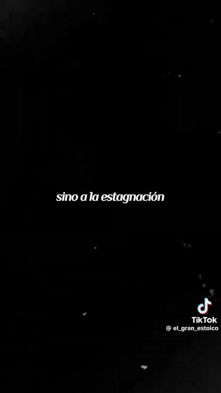 WhatsApp Video 2026-02-25 At 12.08.47