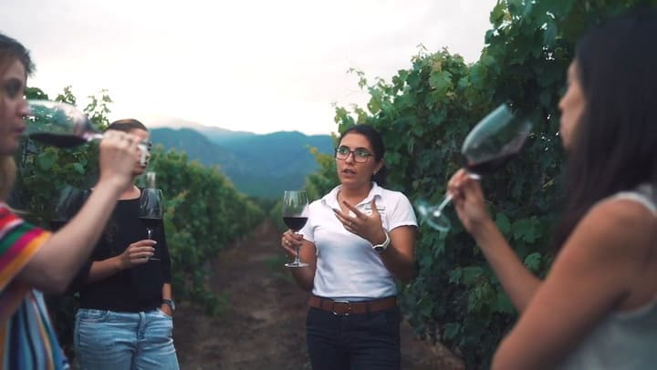 Noches Mágicas en Cafayate