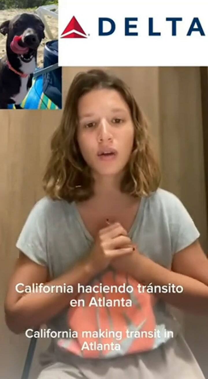 La aerolínea Delta pierde a perrito en el aeropuerto de Atlanta