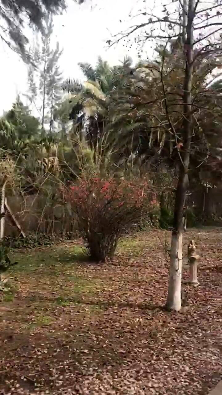 Así es la quinta del narco que se cree Pablo Escobar