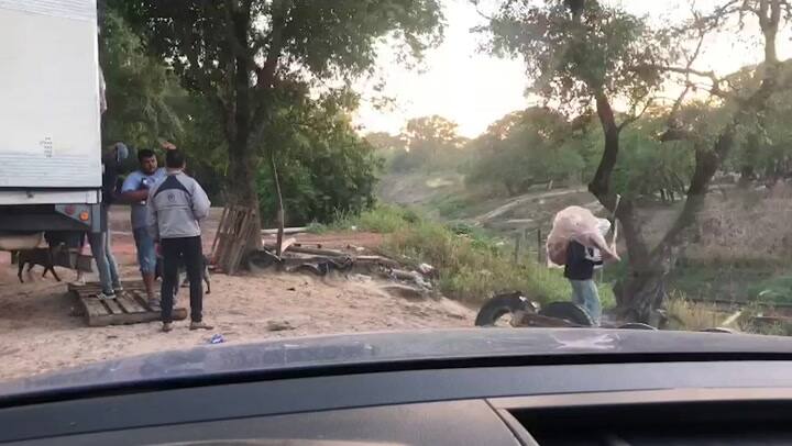 Contrabando de carne vacuna