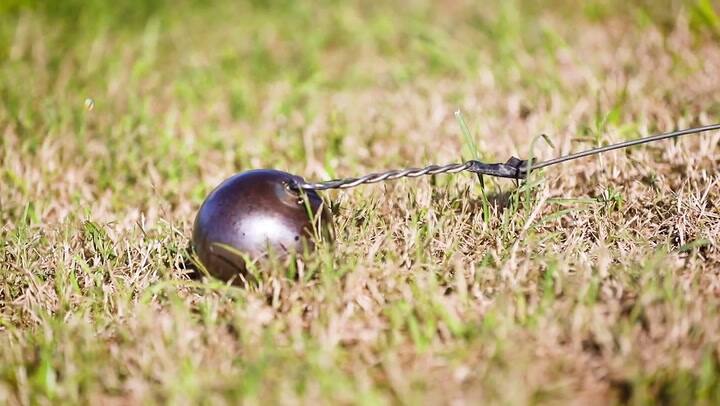 Jenny Dahlgren protagoniza la tapa de junio de Ohlalá!