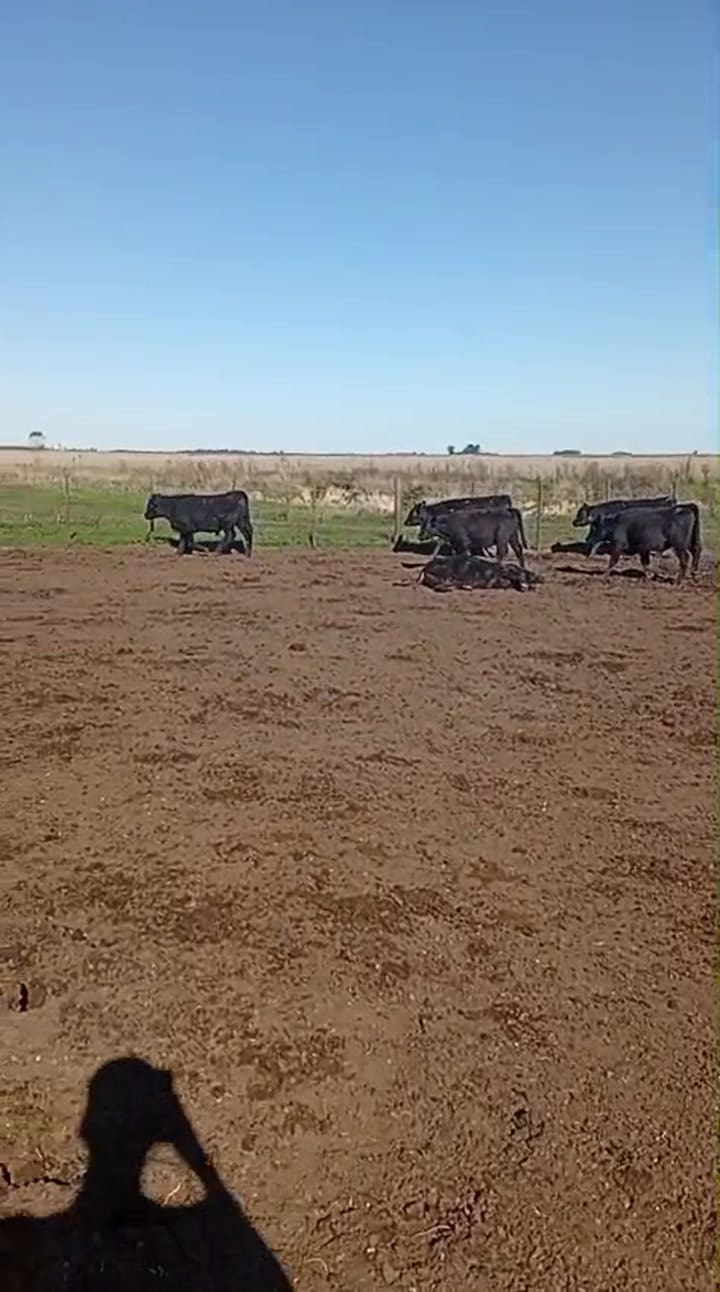 El productor recurrirá a la Justicia