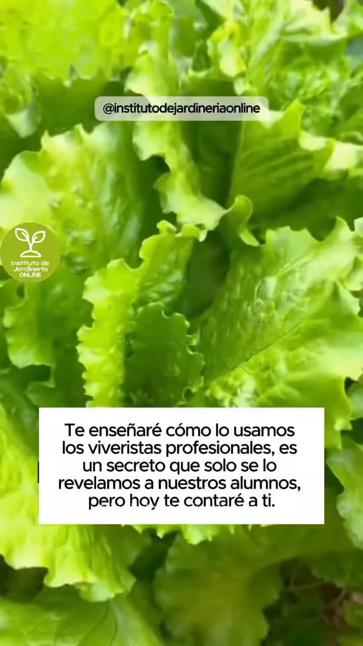 Cómo utilizar el bicarbonato en el jardín