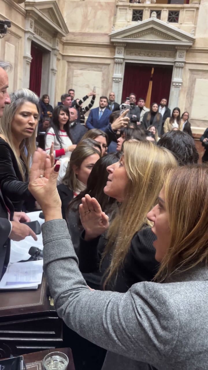 Escandalo en el Congreso: diputados opositores increparon a Espert 4