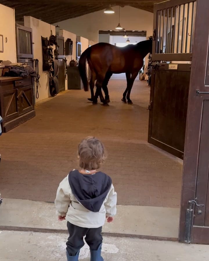 La emoción de Tao, el hijo de Calu Rivero cuando vio un caballo