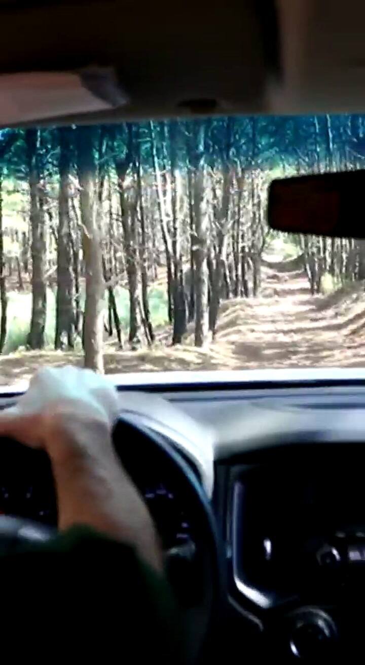 Caminos clandestinos en Pinamar