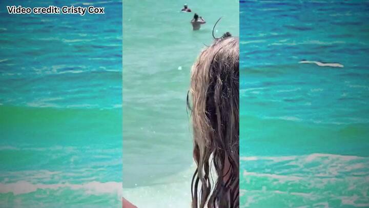 Un tiburón aterrorizó a bañistas en Navarre Beach, Florida