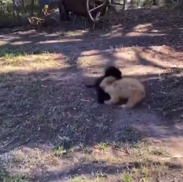 Gran Hermano: Mora y Caramelo se reencontraron